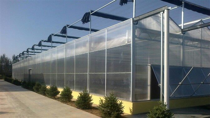 南京頂熱 南京頂熱