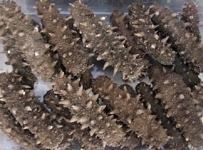 南京頂熱 南京頂熱